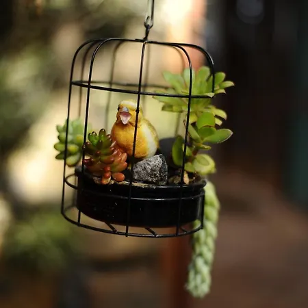 Casa Papaya 2, La Palma Apartment