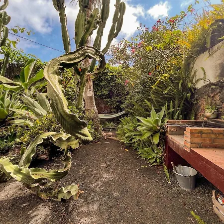 Apartment Casa Papaya 2, La Palma Breña Alta